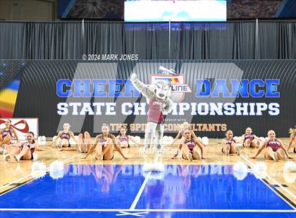 Thumbnail 1 in Desert Mountain - Dance Game Day Championships (AIA Division I) photogallery.