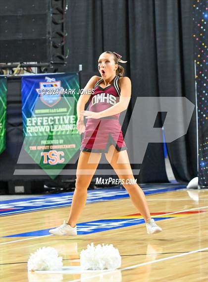 Thumbnail 3 in Desert Mountain - Dance Game Day Championships (AIA Division I) photogallery.