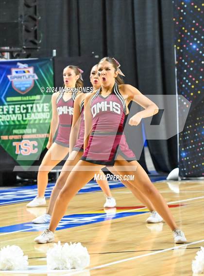 Thumbnail 2 in Desert Mountain - Dance Game Day Championships (AIA Division I) photogallery.