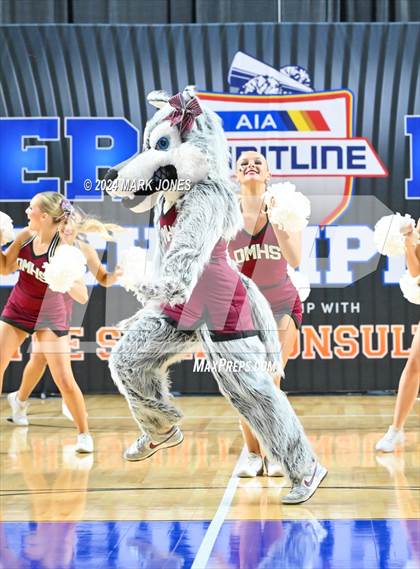 Thumbnail 3 in Desert Mountain - Dance Game Day Championships (AIA Division I) photogallery.