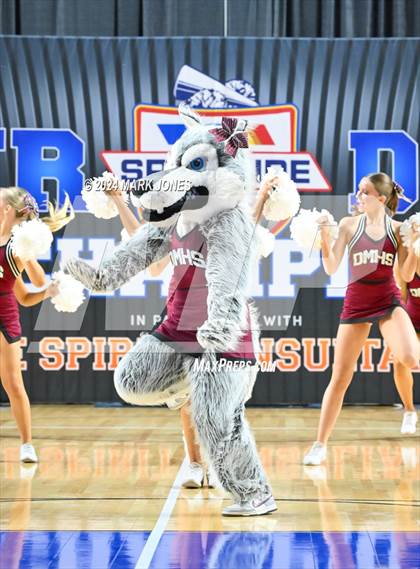 Thumbnail 2 in Desert Mountain - Dance Game Day Championships (AIA Division I) photogallery.