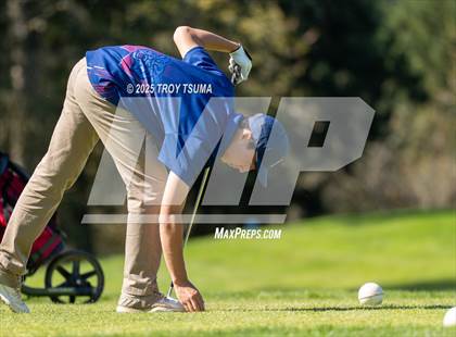Thumbnail 2 in Westview Golf Chehalam Glenn Golf Course photogallery.