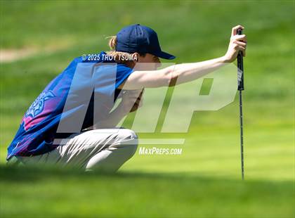 Thumbnail 1 in Westview Golf Chehalam Glenn Golf Course photogallery.