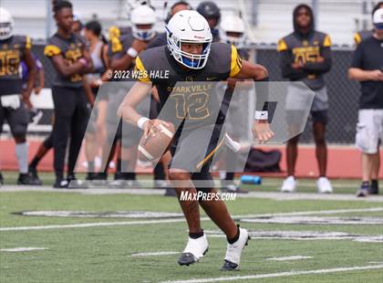 Thumbnail 1 in DeSoto Central @ Starkville (Spring Game) photogallery.