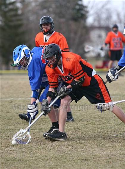 Thumbnail 1 in Williamsville South @ Akron photogallery.