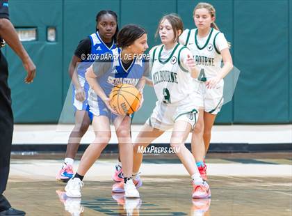 Thumbnail 3 in JV: Sebastian River @ Melbourne photogallery.