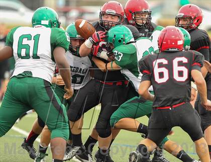 Thumbnail 2 in Kennedale @ Argyle photogallery.