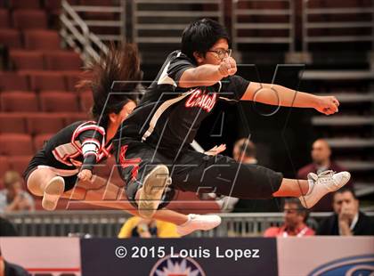 Thumbnail 1 in Canyon vs. Lawndale (CIF SS D2AA Final) photogallery.