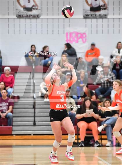 Thumbnail 3 in Nocona @ Poolville photogallery.