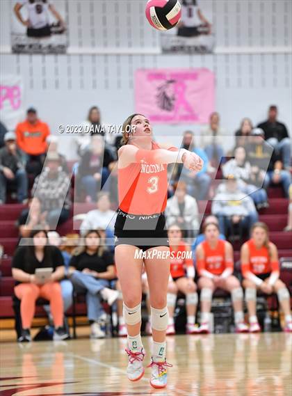 Thumbnail 3 in Nocona @ Poolville photogallery.