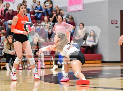 Thumbnail 2 in Nocona @ Poolville photogallery.