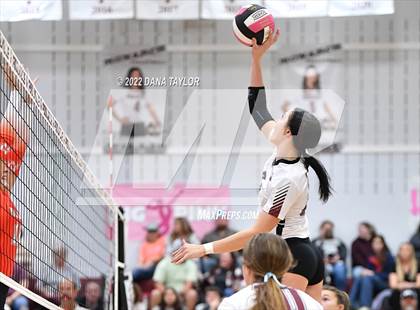 Thumbnail 1 in Nocona @ Poolville photogallery.