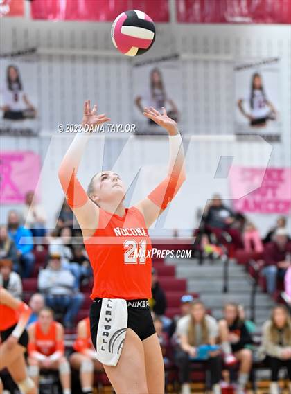 Thumbnail 3 in Nocona @ Poolville photogallery.