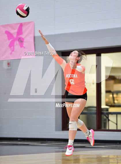 Thumbnail 2 in Nocona @ Poolville photogallery.