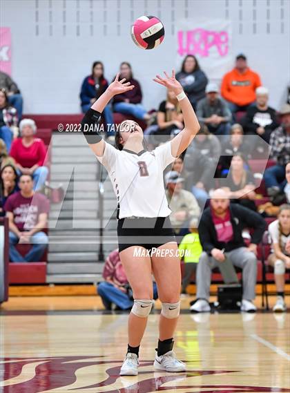 Thumbnail 3 in Nocona @ Poolville photogallery.