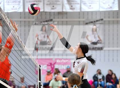Thumbnail 2 in Nocona @ Poolville photogallery.