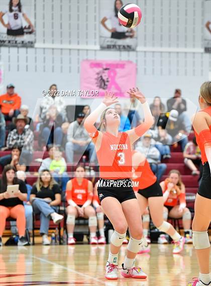 Thumbnail 3 in Nocona @ Poolville photogallery.