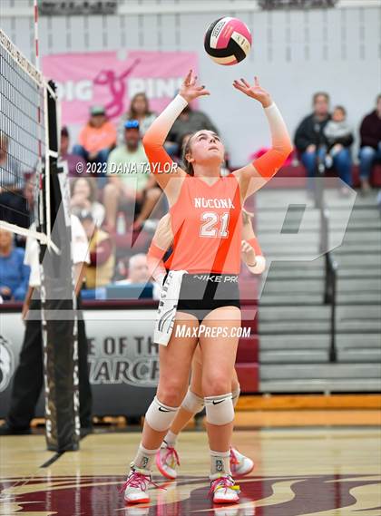 Thumbnail 1 in Nocona @ Poolville photogallery.