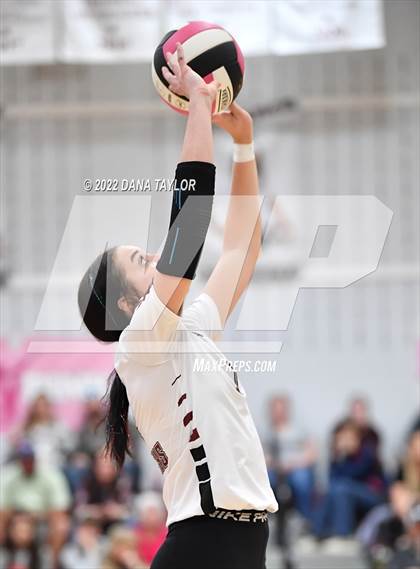 Thumbnail 1 in Nocona @ Poolville photogallery.