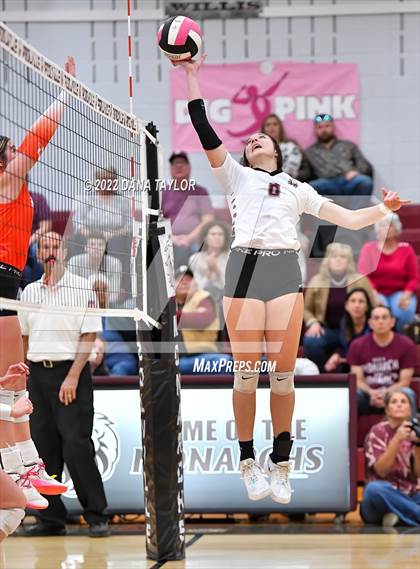 Thumbnail 3 in Nocona @ Poolville photogallery.
