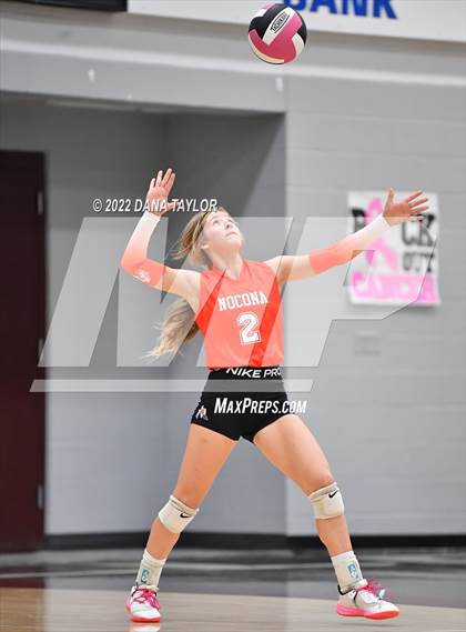 Thumbnail 3 in Nocona @ Poolville photogallery.
