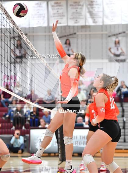 Thumbnail 3 in Nocona @ Poolville photogallery.