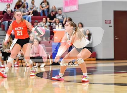 Thumbnail 2 in Nocona @ Poolville photogallery.