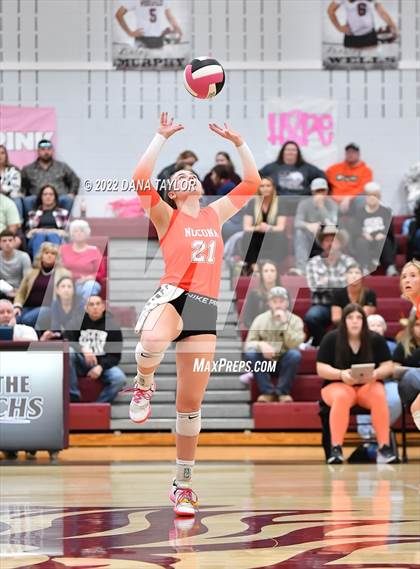 Thumbnail 1 in Nocona @ Poolville photogallery.