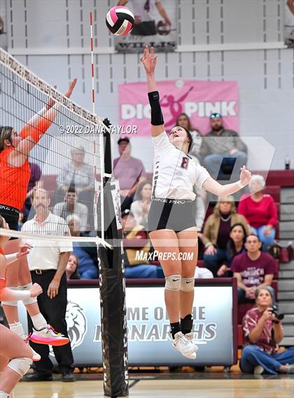 Thumbnail 1 in Nocona @ Poolville photogallery.