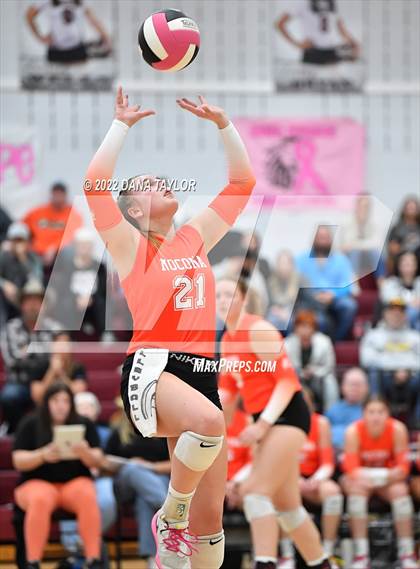 Thumbnail 2 in Nocona @ Poolville photogallery.