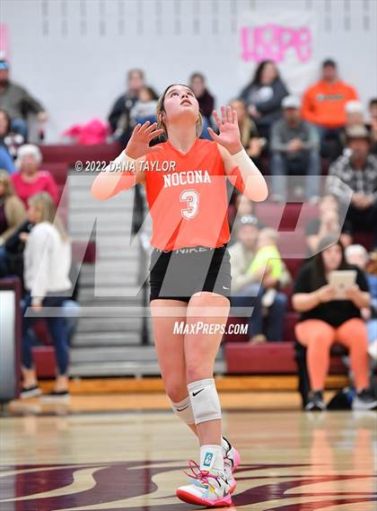 Thumbnail 3 in Nocona @ Poolville photogallery.