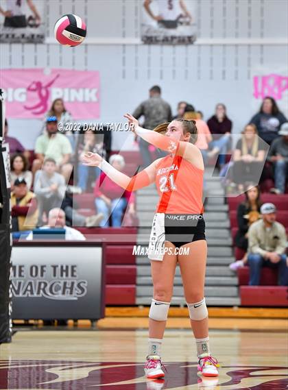 Thumbnail 2 in Nocona @ Poolville photogallery.