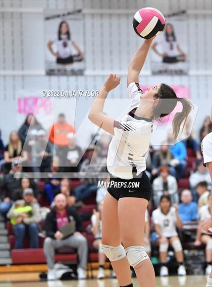 Thumbnail 3 in Nocona @ Poolville photogallery.