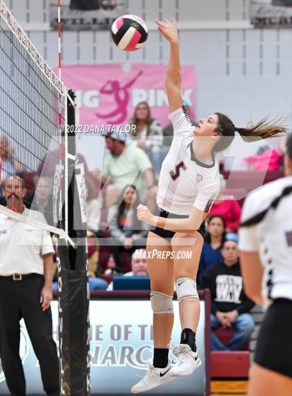 Thumbnail 1 in Nocona @ Poolville photogallery.