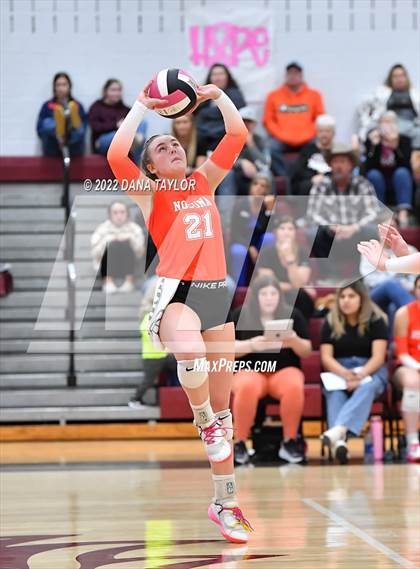 Thumbnail 1 in Nocona @ Poolville photogallery.