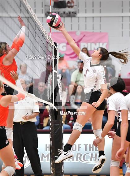 Thumbnail 3 in Nocona @ Poolville photogallery.