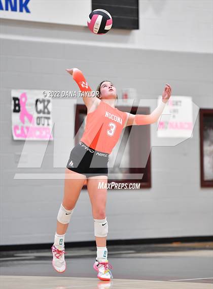 Thumbnail 3 in Nocona @ Poolville photogallery.