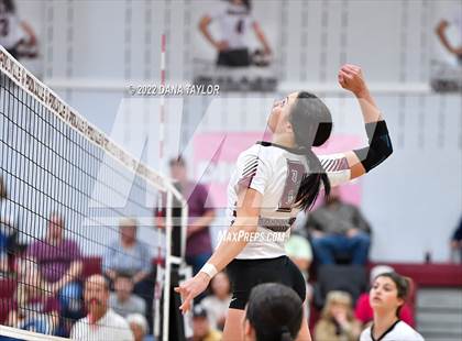 Thumbnail 3 in Nocona @ Poolville photogallery.