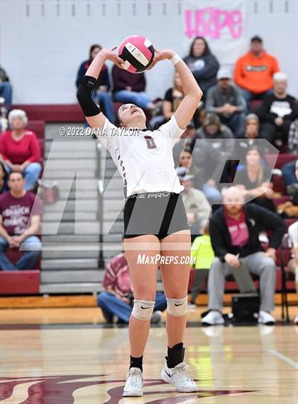 Thumbnail 1 in Nocona @ Poolville photogallery.