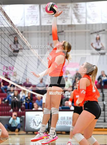 Thumbnail 2 in Nocona @ Poolville photogallery.
