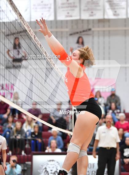 Thumbnail 2 in Nocona @ Poolville photogallery.