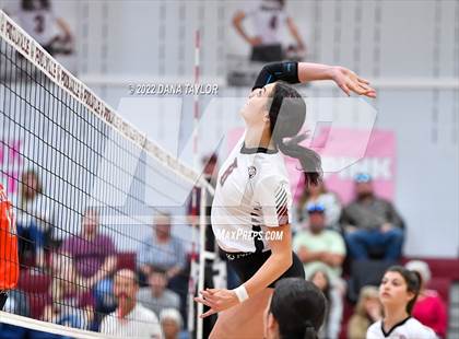 Thumbnail 1 in Nocona @ Poolville photogallery.