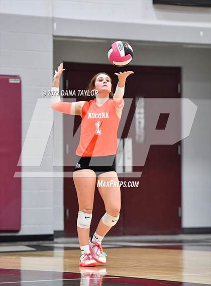 Thumbnail 1 in Nocona @ Poolville photogallery.
