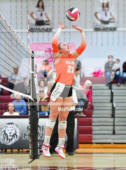 Thumbnail 1 in Nocona @ Poolville photogallery.