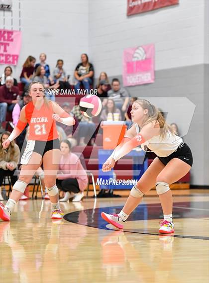 Thumbnail 3 in Nocona @ Poolville photogallery.