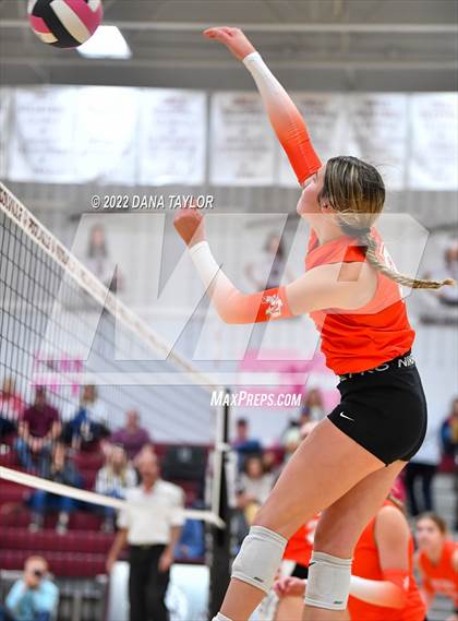 Thumbnail 3 in Nocona @ Poolville photogallery.