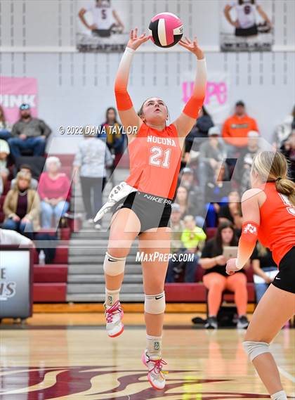 Thumbnail 2 in Nocona @ Poolville photogallery.