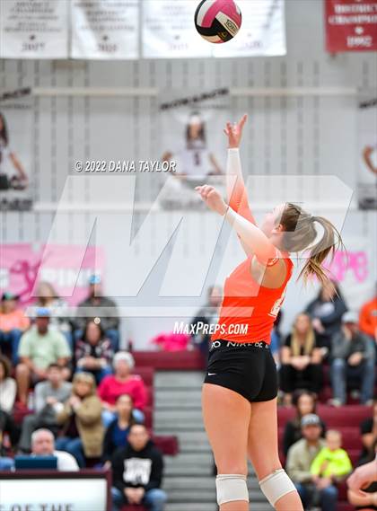 Thumbnail 3 in Nocona @ Poolville photogallery.