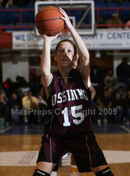 Thumbnail 1 in Mt. Vernon vs. Ossining (Section 1 AA Final) photogallery.
