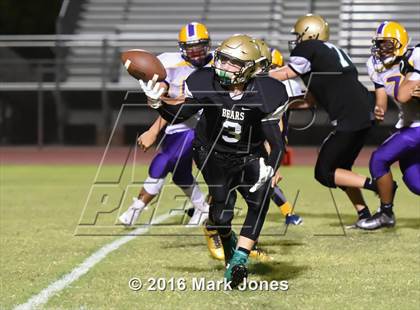 Thumbnail 2 in Mesa @ Basha photogallery.